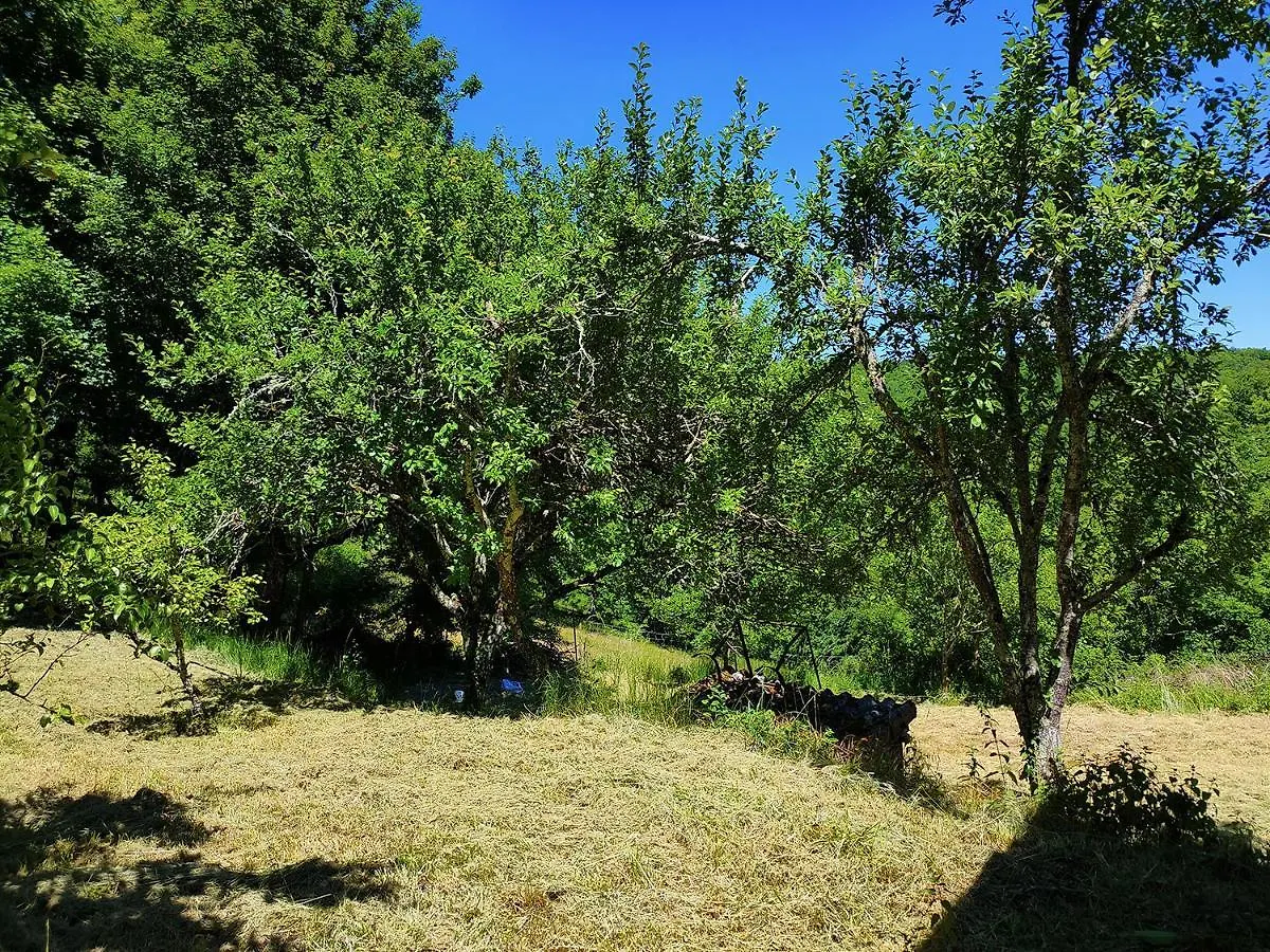 La Combe Aux Oiseaux Guest House Villefranche-de-Rouergue 0*,